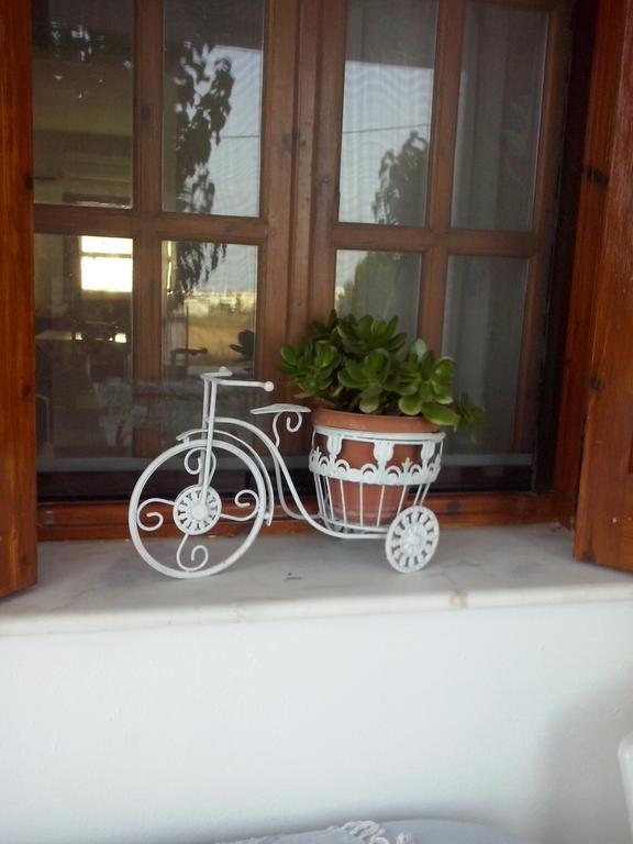 Athena'S Houses Skyros Luaran gambar
