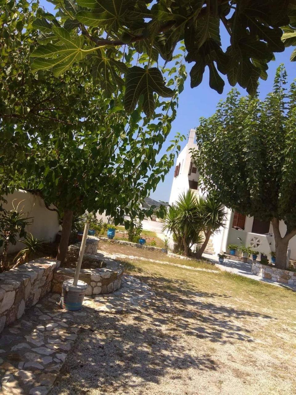 Athena'S Houses Skyros Luaran gambar