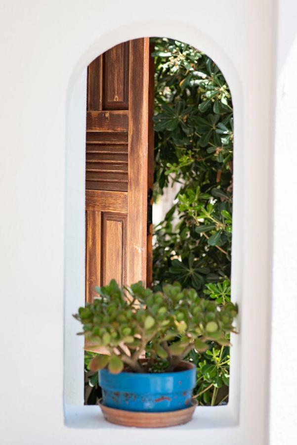 Athena'S Houses Skyros Luaran gambar